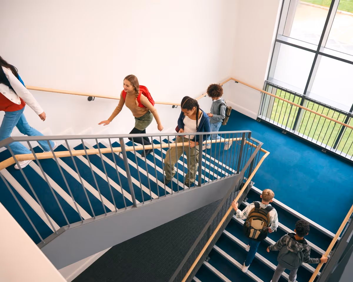 Revo maps description image